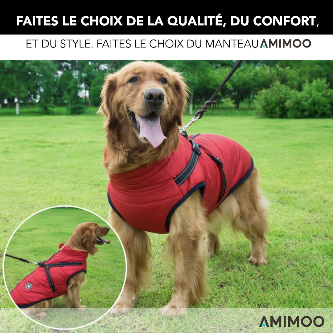 Gourde Portable pour Chien 800ML – Amimoo